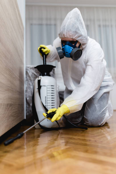 Best Residential Pest Control  in Taylor, AZ